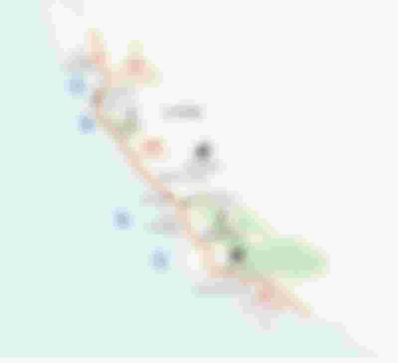 Soyn4wrqrz California Coast P46 1500x1500 ?width=800&quality=10&blur=25